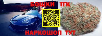 стаф Можга