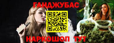 стаф Можга