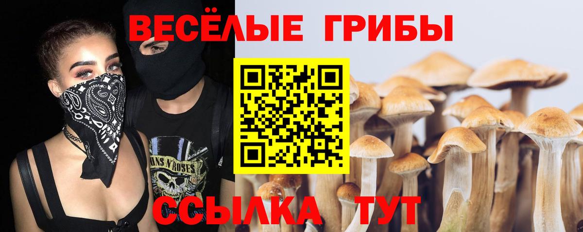 Псилоцибиновые грибы Psilocybine cubensis Белово